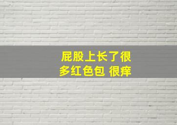 屁股上长了很多红色包 很痒